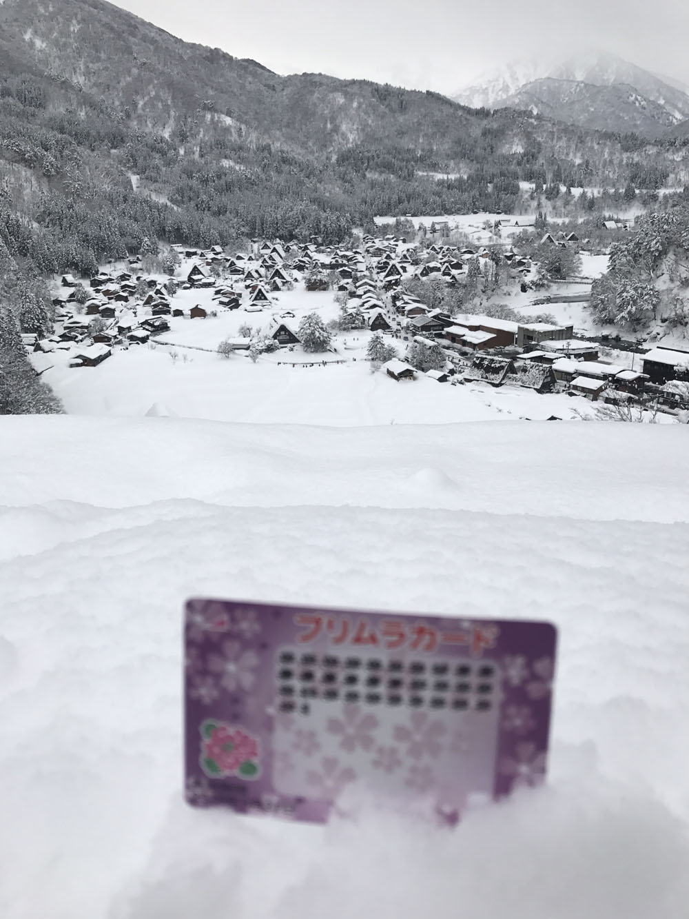 雪の白川郷 in プリムラカード